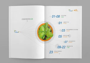 生物公司企業(yè)形象畫冊(cè)設(shè)計(jì) 展現(xiàn)科技與創(chuàng)新的力量